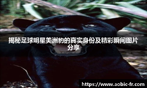 揭秘足球明星美洲豹的真实身份及精彩瞬间图片分享